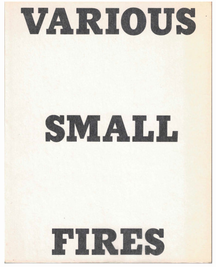 Various Small Fires and Milk