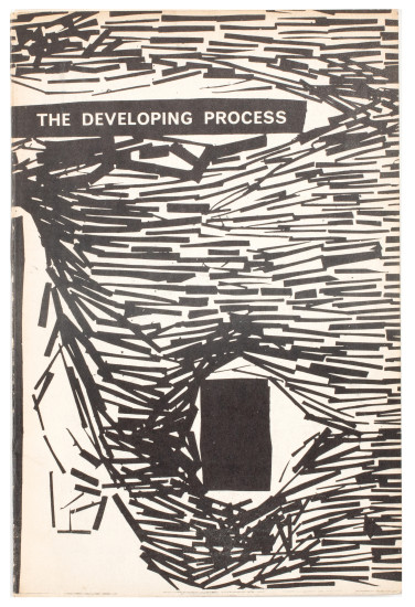 The Developing Process