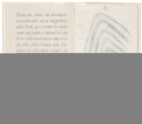 Logis de Terre: Pierre Lecuire Poèmes...