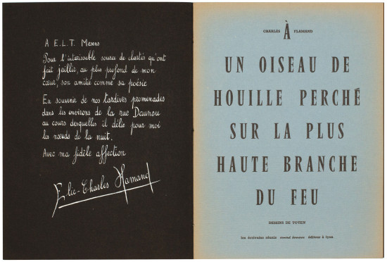 A Un Oiseau de Houille Perché...