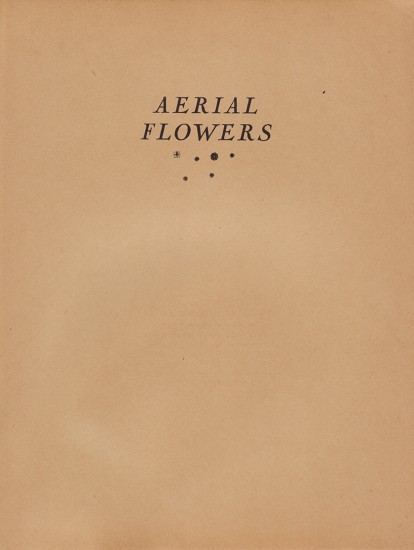 Aerial Flowers